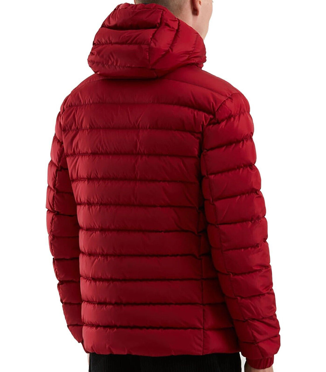 Red Nylon Men's Jacket