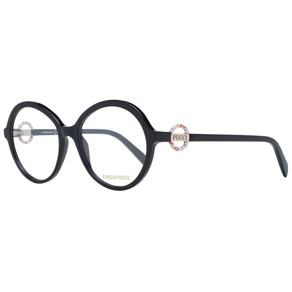 Black Plastic Glasses (Frames)