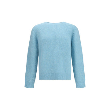 Light Blue Alpaca Vicugna Pacos Sweatshirt