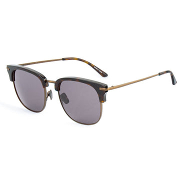 Brown Titanium Sunglasses